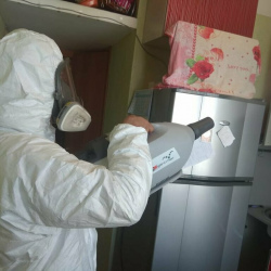 Уничтожение насекомых в квартире. Улица Милашенкова